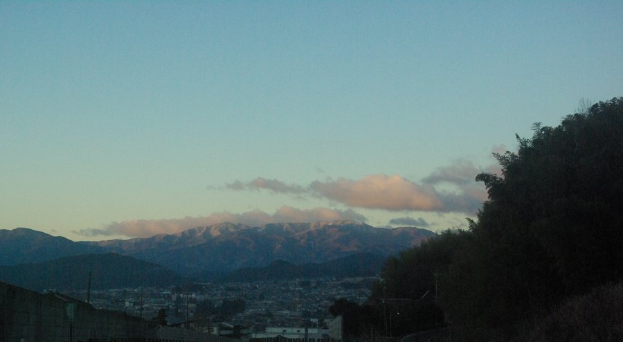 保守研究所 キービジュアル